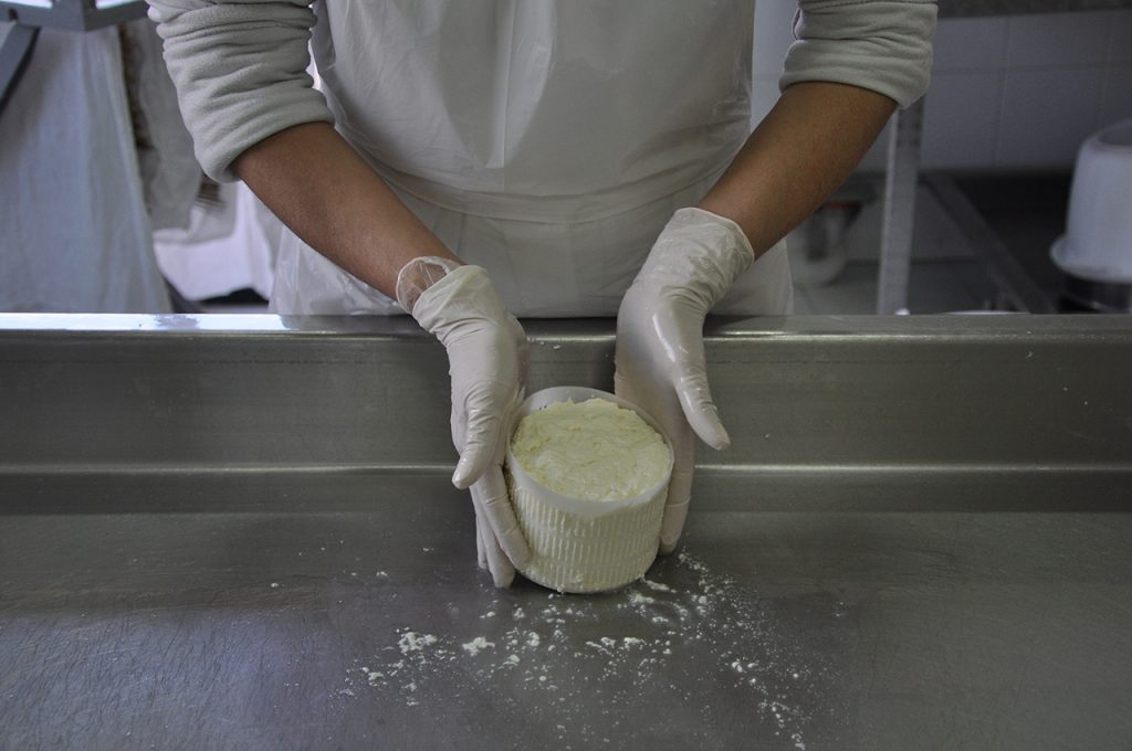 Laboratorio del formaggio Salento