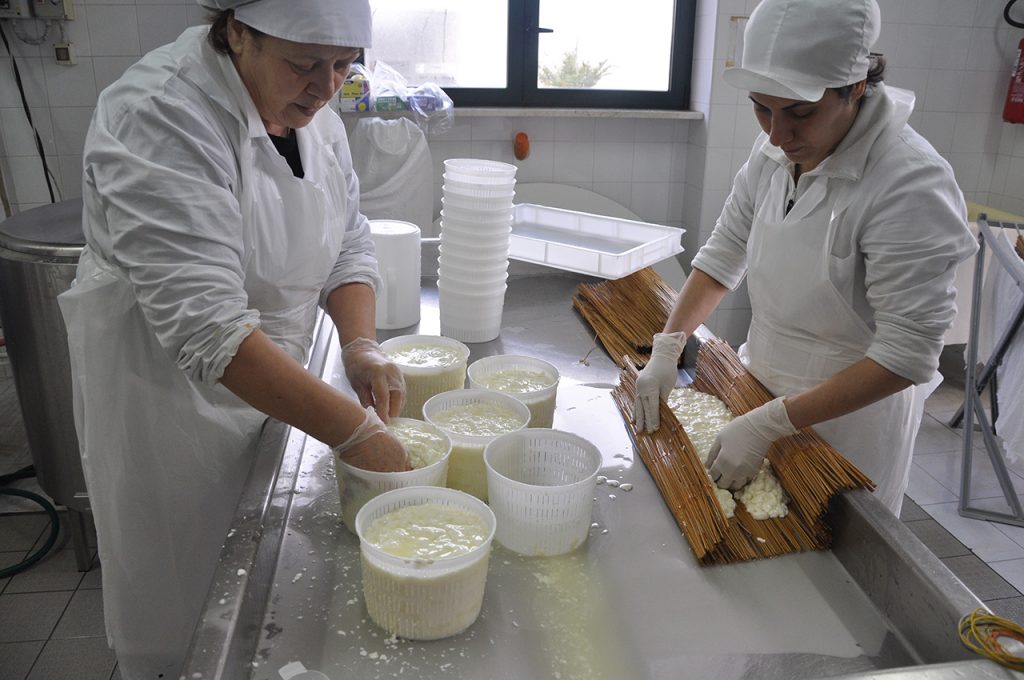 Laboratorio del formaggio Salento