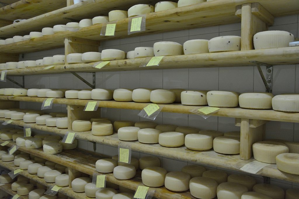 Visita Masseria didattica Salento