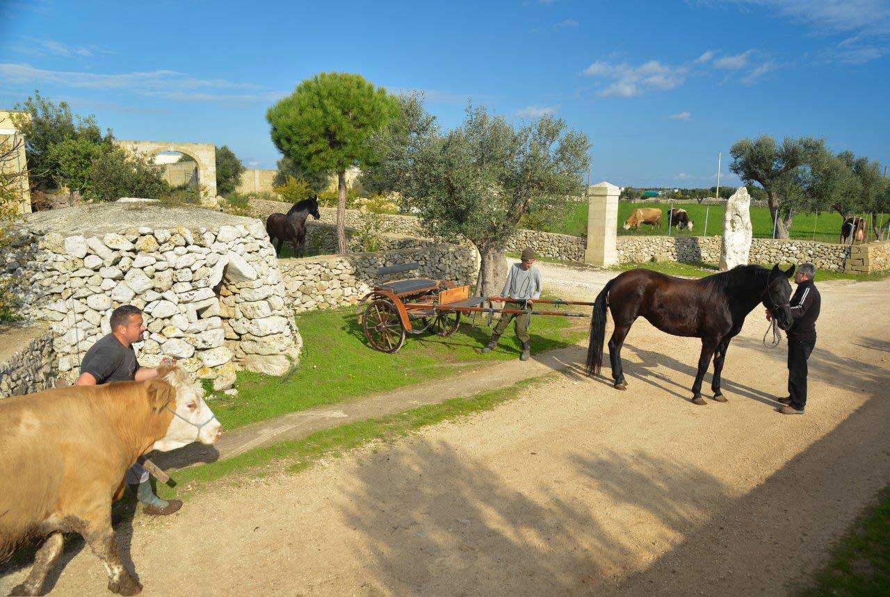 Masseria Didattica Salento Martano